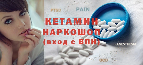 сатива Бородино
