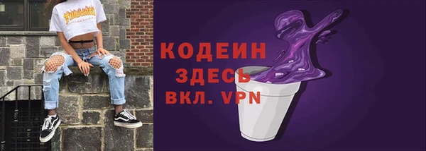 сатива Бородино