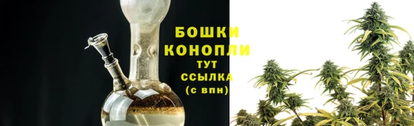 PSILOCYBIN Богородицк
