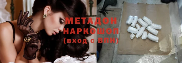 сатива Бородино