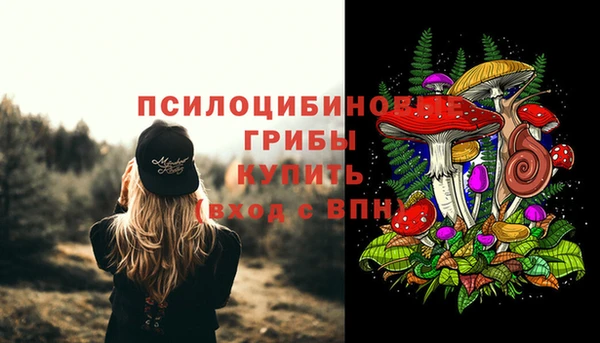 амф Белокуриха