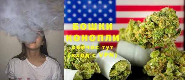 сатива Бородино